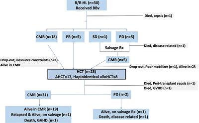 Relapsed Refractory Hodgkin Lymphoma and Brentuximab Vedotin-Bendamustine Combination Therapy as a Bridge to Transplantation: Real-World Evidence From a Middle-Income Setting and Literature Review